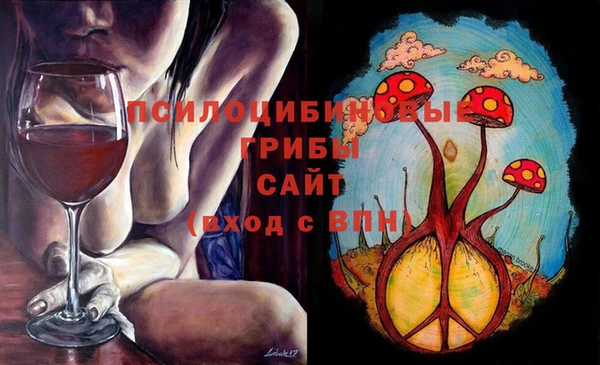 дурь Алексеевка