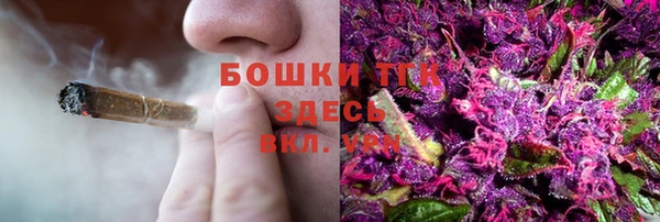 дурь Алексеевка