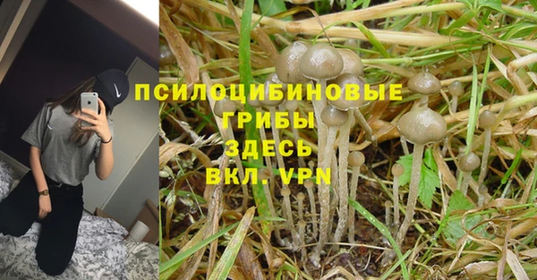 MESCALINE Алзамай