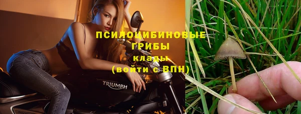 дурь Алексеевка