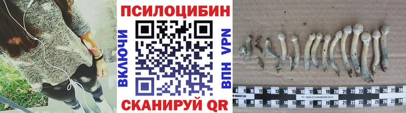 Псилоцибиновые грибы Magic Shrooms  Ладушкин 